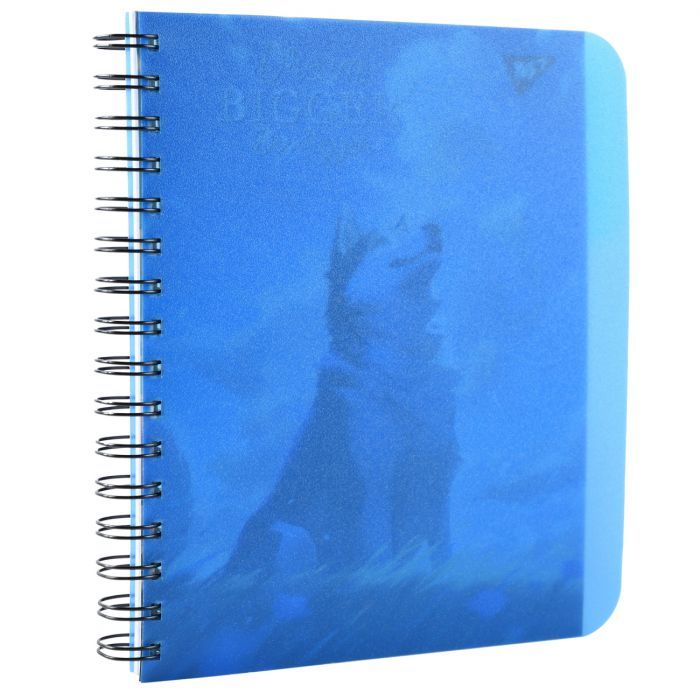 Блокнот Yes А5 Husky 144 аркуша пластикова обкладинка (681973) зображення 3