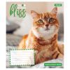 Тетрадь 1 вересня Bliss А5 12 листов клетка (768051) изображение 4