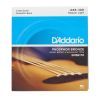 Струны для гитары D'Addario Acoustic Bass Phosphor Bronze Light 4-String (45-100) (EPBB170)