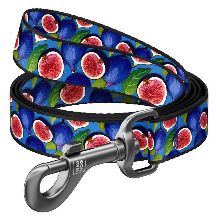 Поводок для собак WAUDOG Nylon "Инжир" L-XXL Ш 25 мм Д 300 см (762-4053)