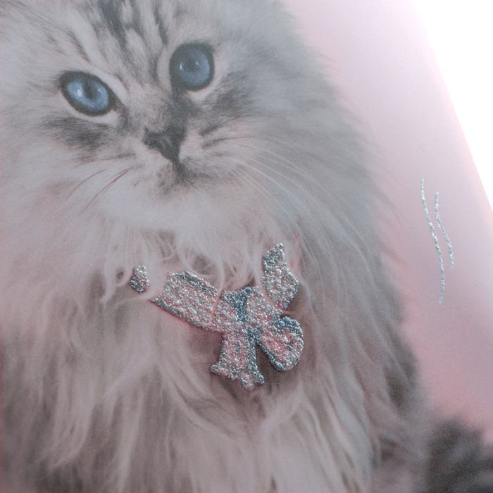 Папка на резинках Kite A4 Rachael Hale (R25-247) зображення 5