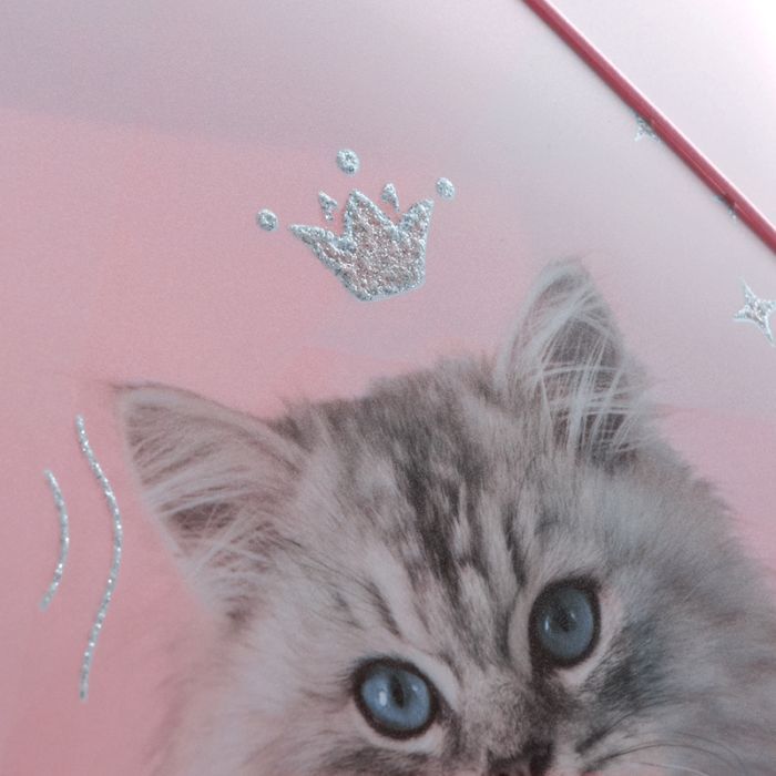 Папка на резинках Kite A4 Rachael Hale (R25-247) зображення 6