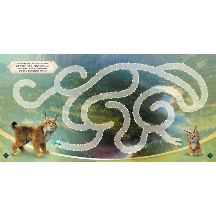 Книга Мавка. Лабіринти з наліпками. Загадковий світ Ранок (9786170989932) зображення 4