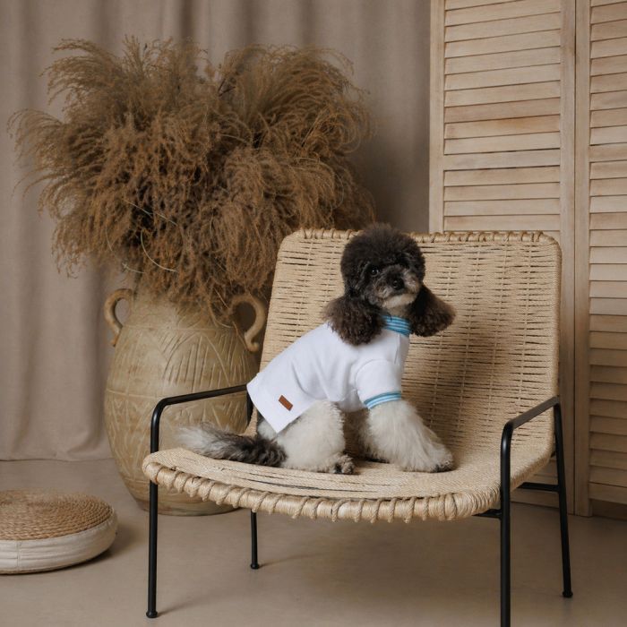 Футболка для тварин Pet Fashion Polo XS2 (4823082446384) зображення 5