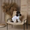 Футболка для тварин Pet Fashion Polo XS2 (4823082446384) зображення 5
