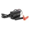 Сетевое зарядное устройство для АКБ Voltronic Li-ion 21V, 5S, 10A (YH-2120-L) изображение 2
