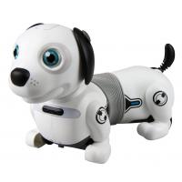 Фото - Интерактивные игрушки Silverlit Інтерактивна іграшка  робот-собака DACKEL JUNIOR  88578 (88578)