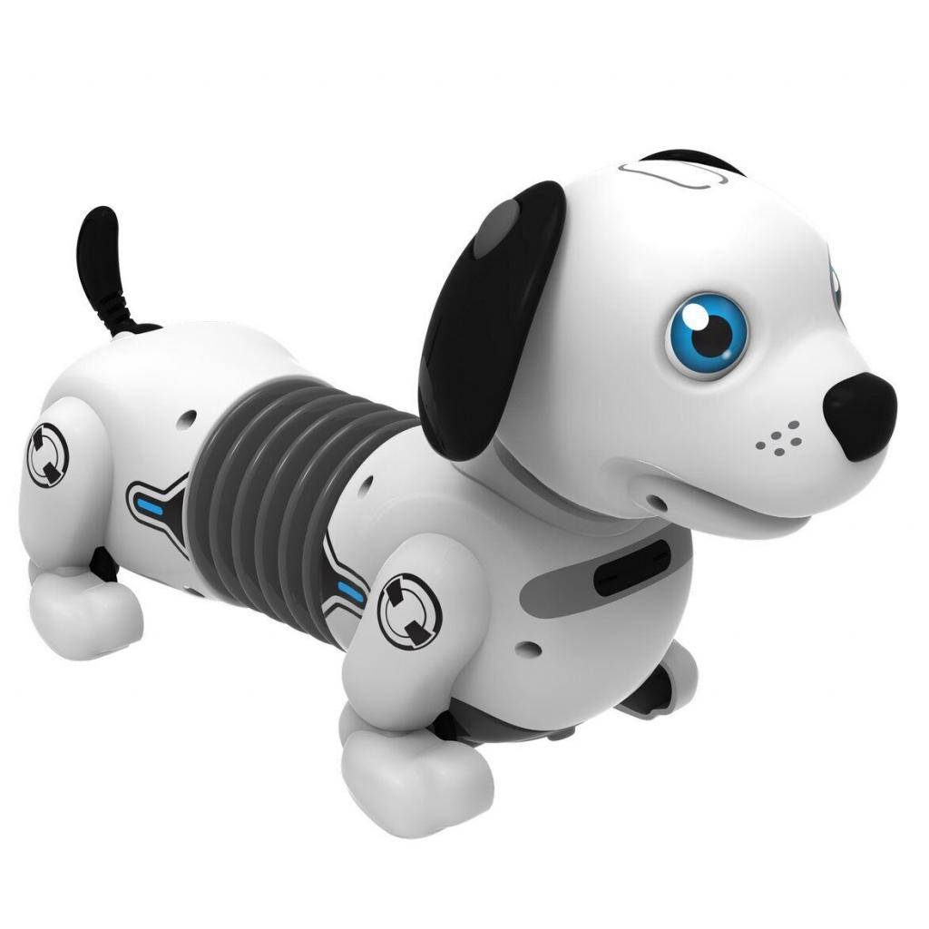 Интерактивная игрушка Silverlit робот-собака DACKEL JUNIOR (88578) изображение 5