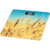 Весы напольные ARDESTO SCB-965WHEAT изображение 2
