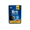 Влажный корм для кошек Brit Premium Cat Pouches with Salmon&Trout 100 г (8595602505999)