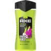 Гель для душу AXE 3 в 1 Epic Fresh 250 мл (8720181204081)