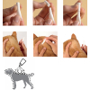Капли для животных Bayer Адвокат от заражений эндо и экто паразитами для кошек 4-8 кг 3/0.8 мл (4007221031970) изображение 5