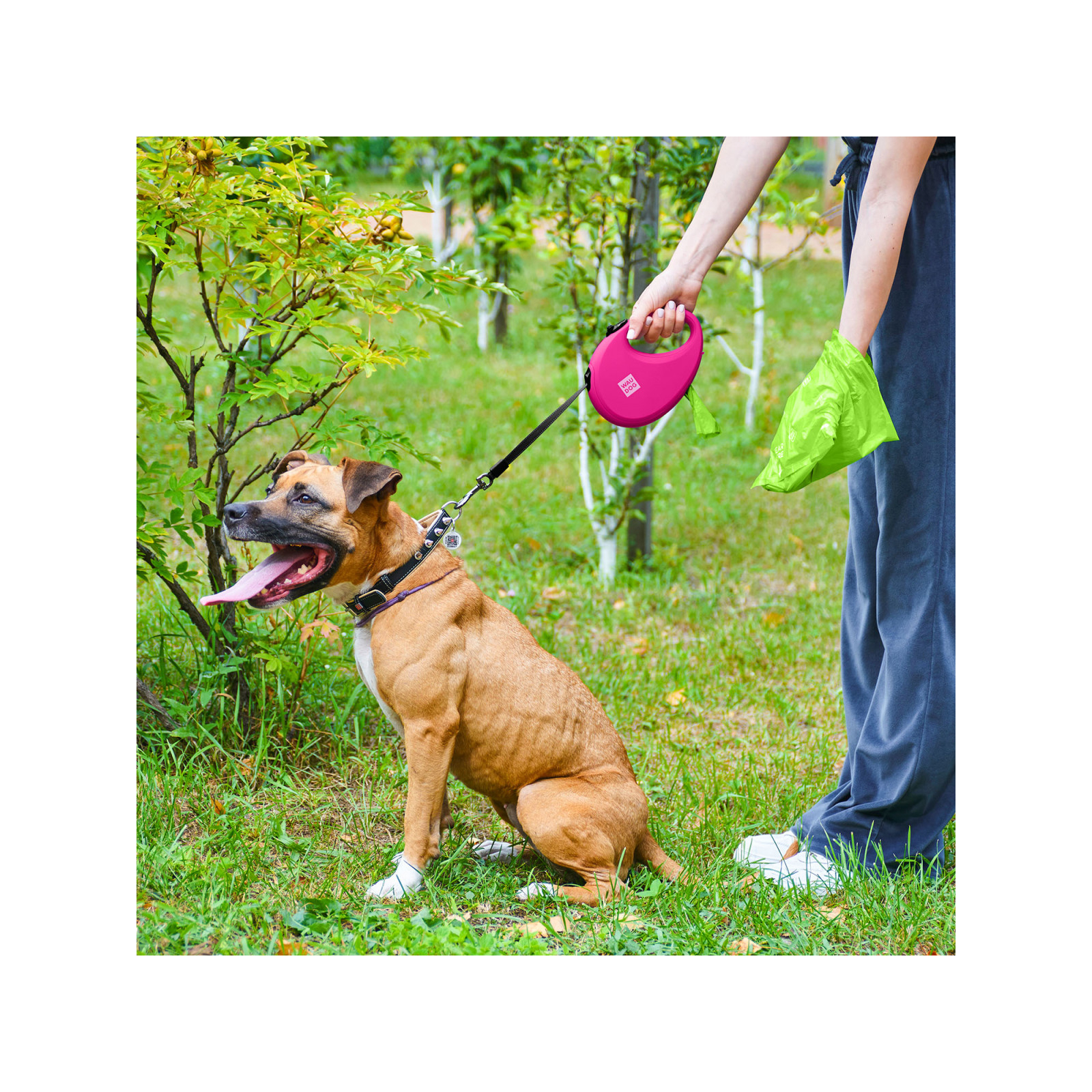 Повідок для собак WAUDOG R-leash з контейнером для пакетів S до 12 кг 3 м блакитний (26272) зображення 9