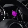 Ароматизатор для автомобіля K2 Joy Garden "Сад" (V892) зображення 3