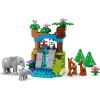 Конструктор LEGO DUPLO Town Сімейства диких тварин 3-в-1 (10446) зображення 7