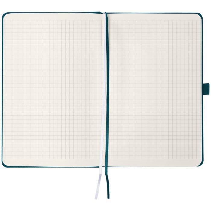 Книга записная Axent Partner Колоски 125x195 мм, 96 листов, клетка, малахитовая (8201-31-6-A) изображение 2