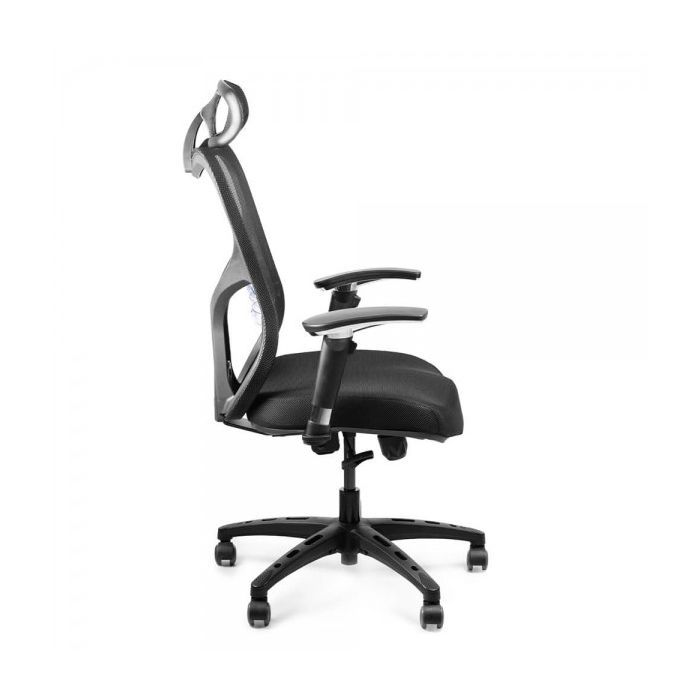 Офисное кресло Barsky Butterfly Black PL Fly-06 (Fly-06) изображение 3