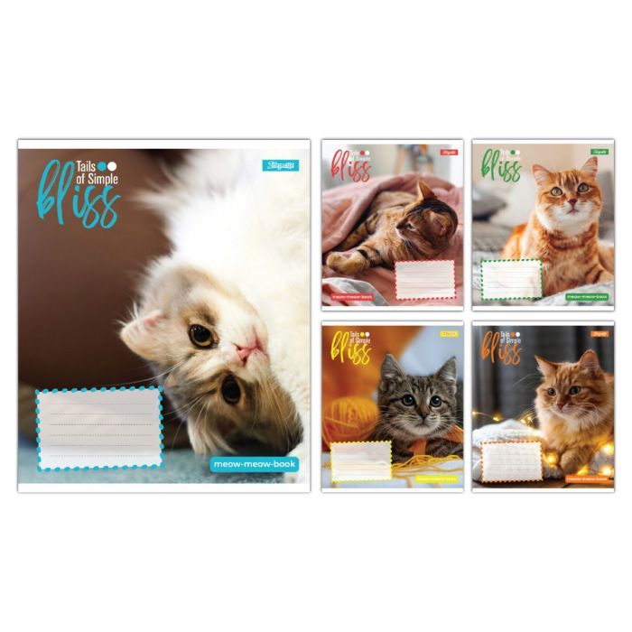 Зошит 1 вересня Bliss А5 12 аркушів лінія (768052)