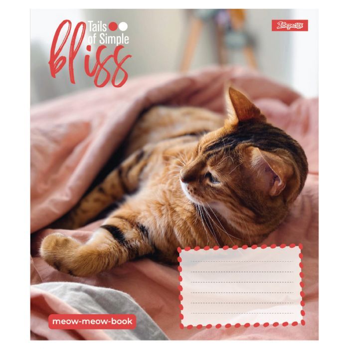 Зошит 1 вересня Bliss А5 12 аркушів лінія (768052) зображення 5