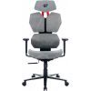 Кресло игровое GT Racer X-6008 Gray изображение 6
