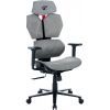 Кресло игровое GT Racer X-6008 Gray
