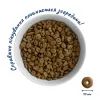Сухий корм для кішок Home Food With sensitive digestion з ягням та лососем 1.6 кг (4820235020224) зображення 4
