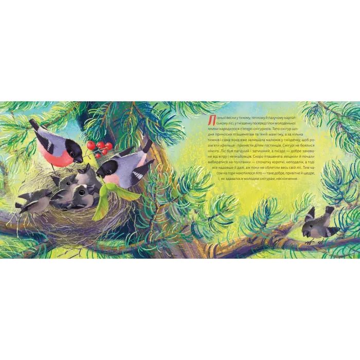 Книга Мій друг снігур - Надійка Гербіш Видавництво Старого Лева (9789664485057) изображение 6