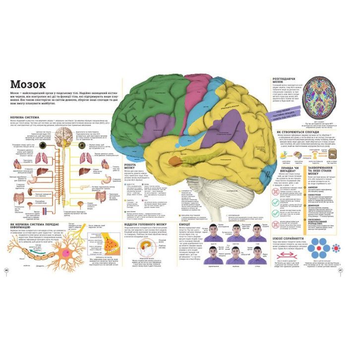 Книга Дивипедія Ранок (9786170992376) зображення 4