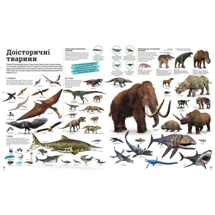 Книга Дивипедія Ранок (9786170992376) зображення 6