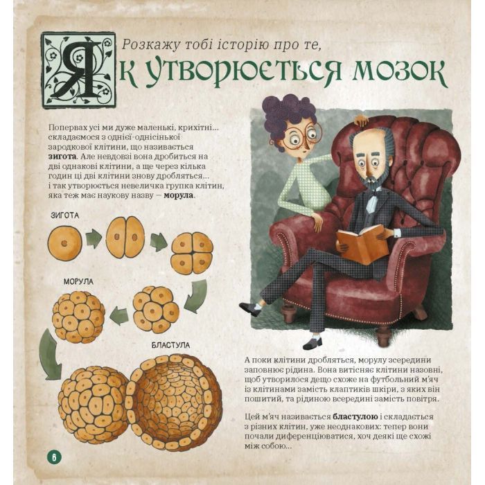 Книга Як працює людський мозок - Пабло Барречеґурен Ранок (9786170981639) зображення 4