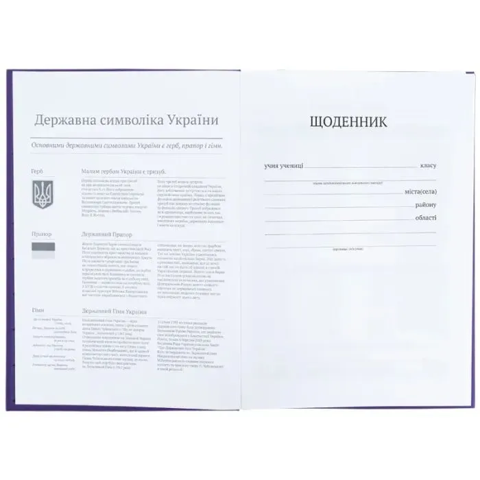 Дневник школьный Kite Break, твердая обложка (K26-262-10) изображение 4