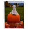 Календарь Buromax настенный А3 2027 год, 1 пружина, Cute goat (BM.210601) изображение 10