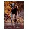 Календарь Buromax настенный А3 2027 год, 1 пружина, Cute goat (BM.210601) изображение 11