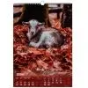 Календарь Buromax настенный А3 2027 год, 1 пружина, Cute goat (BM.210601) изображение 12