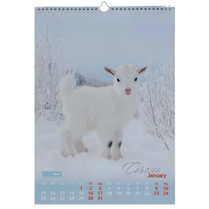 Календарь Buromax настенный А3 2027 год, 1 пружина, Cute goat (BM.210601) изображение 2