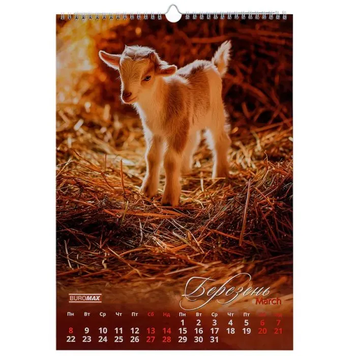Календарь Buromax настенный А3 2027 год, 1 пружина, Cute goat (BM.210601) изображение 4