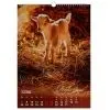 Календарь Buromax настенный А3 2027 год, 1 пружина, Cute goat (BM.210601) изображение 4