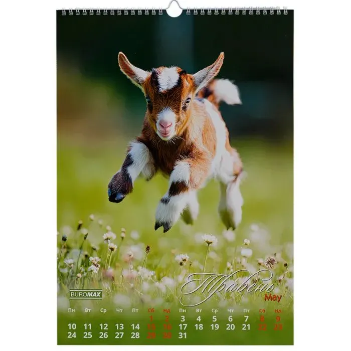 Календарь Buromax настенный А3 2027 год, 1 пружина, Cute goat (BM.210601) изображение 6