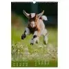 Календарь Buromax настенный А3 2027 год, 1 пружина, Cute goat (BM.210601) изображение 6
