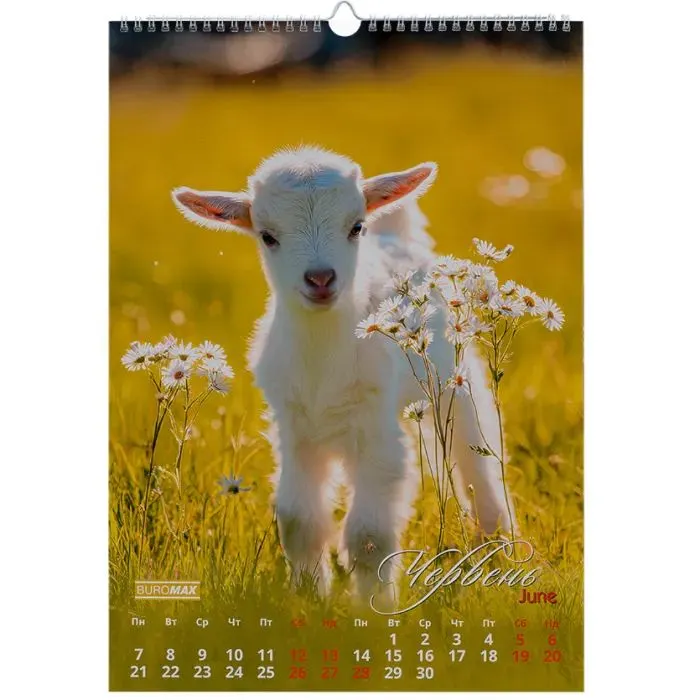 Календарь Buromax настенный А3 2027 год, 1 пружина, Cute goat (BM.210601) изображение 7