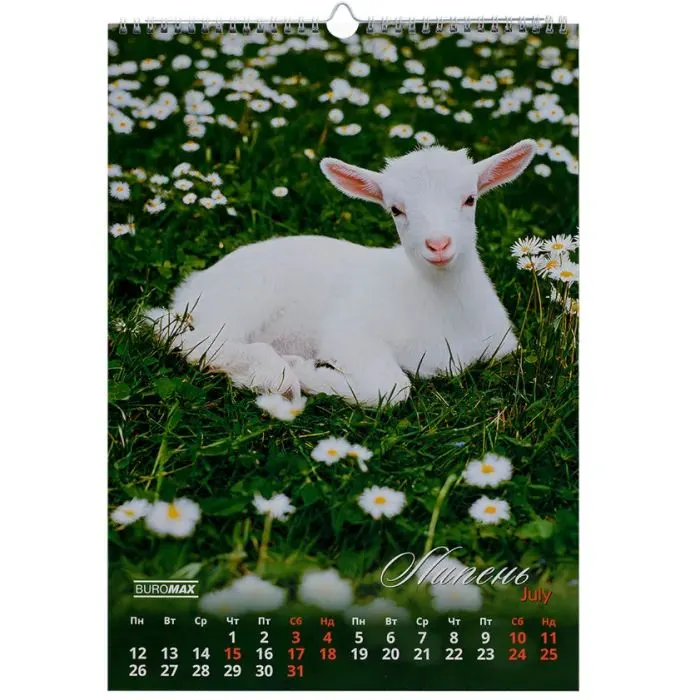 Календарь Buromax настенный А3 2027 год, 1 пружина, Cute goat (BM.210601) изображение 8