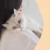 Витамины для кошек GimCat Nutri Vitamin Bites мультивитамины 40 г (4002064428024) изображение 6