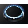 Варочная поверхность Zanussi ZGO 65414 BA (ZGO65414BA) изображение 4