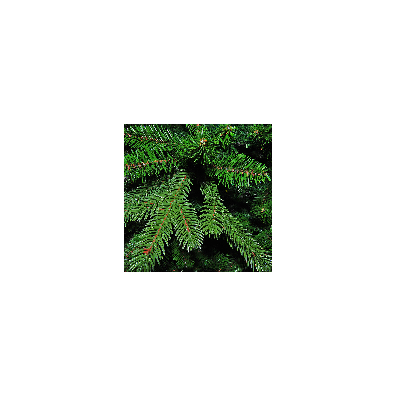 Штучна ялинка Triumph Tree Deluxe Sherwood зелена 1,85 м (8711473288414) зображення 3