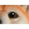 Игровой набор Same Toy рукавичка Собака (X325UT) изображение 3