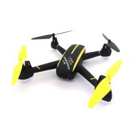 Квадрокоптер Wowitoys Sky Conqueror H4819 с GPS стабилизацией (WWT-H4819)