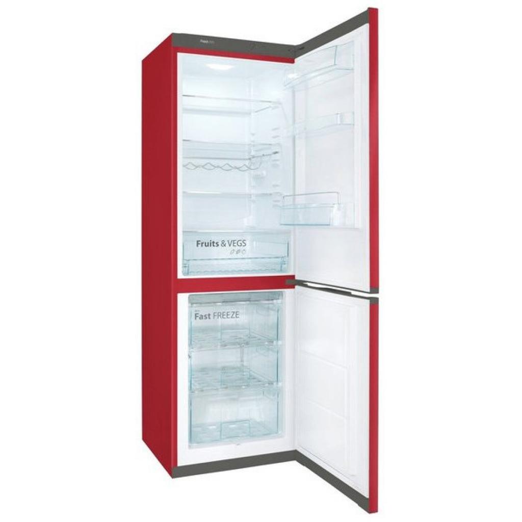 Холодильник Snaige RF56SM-S5RP2G зображення 2