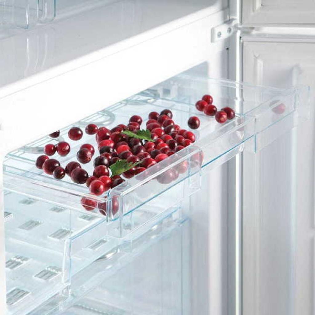 Холодильник Snaige RF56SM-S5RP2G зображення 7