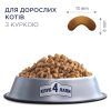 Сухий корм для кішок Club 4 Paws Преміум. Зі смаком курки 14 кг (4820083909146) зображення 3