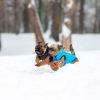 Курточка для тварин Airy Vest двостороння L 55 чорно-блакитна (1635) зображення 3